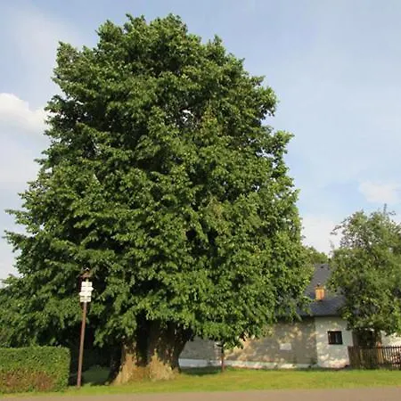 Guest house Penzion Pastviny