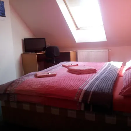 بيت ضيافة Penzion Kromeriz 3*