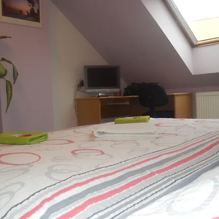 Affittacamere Penzion Kromeriz 3*